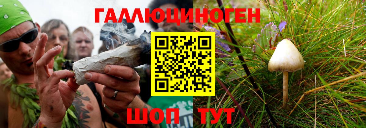 Галлюциногенные грибы Magic Shrooms  Вход с VPN  Благодарный 